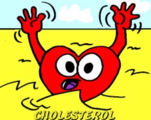 Even though it's true that high cholesterol can be an indicator of sub-optimal thyroid function and metabolism, the relationship between saturated fat consumption, increasing cholesterol levels in the blood and heart disease, is not as black and white as it is often made out to be.